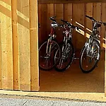 Cozy Alpine Stare 博希尼