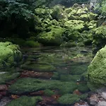 Cozy Alpine Stare 公寓 博希尼