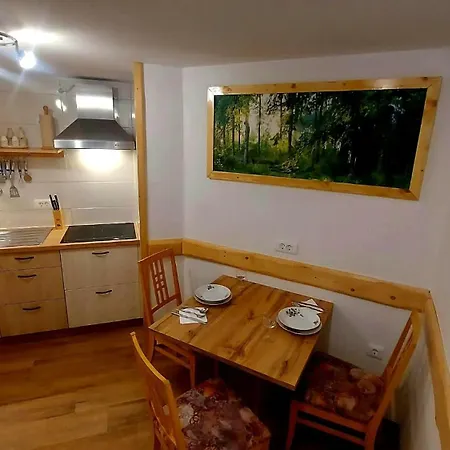 Stare Apartman Bohinj