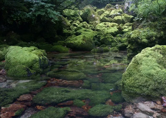 Stare Διαμέρισμα Bohinj